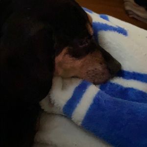 Meet your Posher, Anita